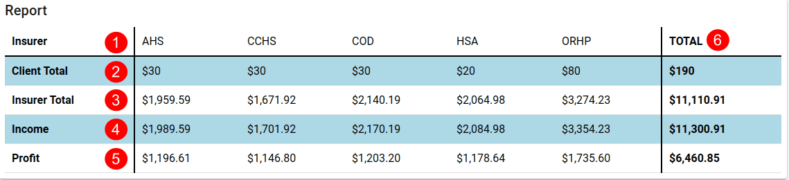 Invoice - Report Pane